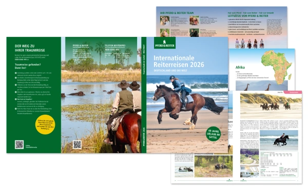 PFERD-REITER-Grafiker-Hamburg-Kataloge